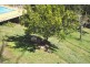 94 Blackbutt Street, Wyoming NSW 2250