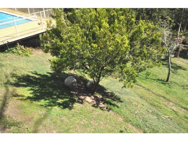 94 Blackbutt Street, Wyoming NSW 2250