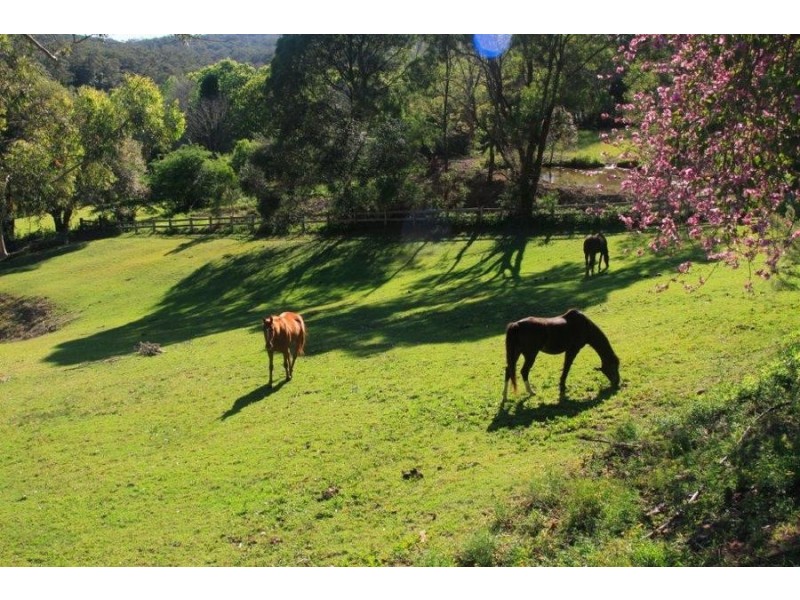 81 The Ridgeway, Lisarow NSW 2250