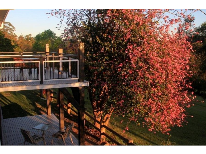 81 The Ridgeway, Lisarow NSW 2250