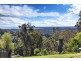 697 The Ridgeway, Tumbi Umbi NSW 2261