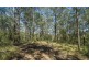 11 Drumalbyn Close, Wyoming NSW 2250