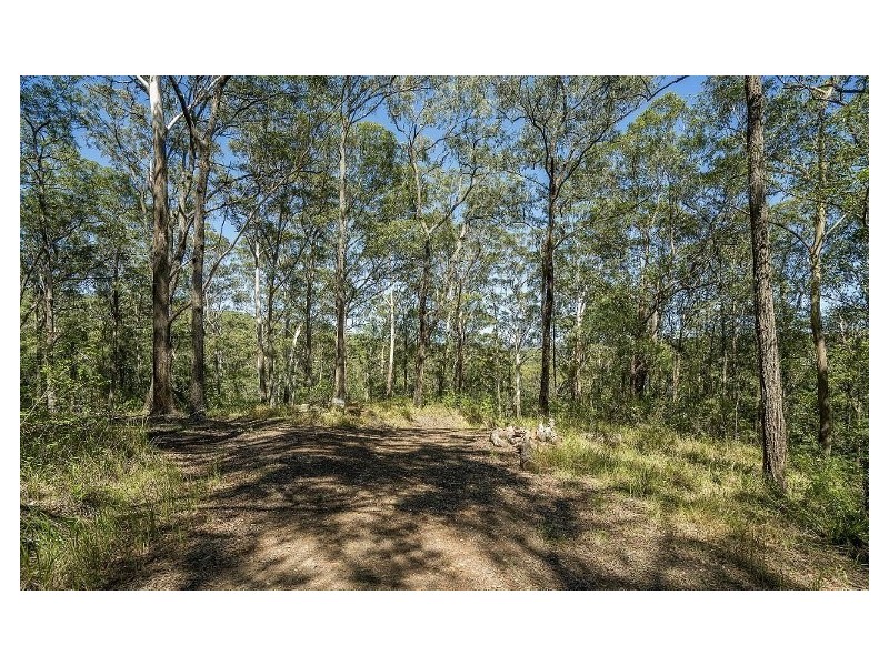 11 Drumalbyn Close, Wyoming NSW 2250
