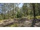 11 Drumalbyn Close, Wyoming NSW 2250