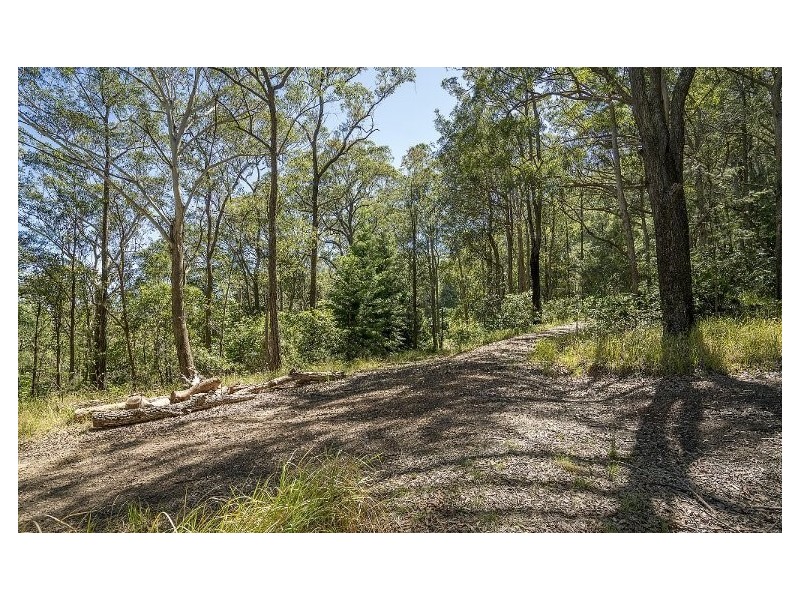 11 Drumalbyn Close, Wyoming NSW 2250