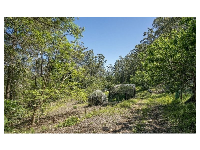 11 Drumalbyn Close, Wyoming NSW 2250