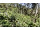 11 Drumalbyn Close, Wyoming NSW 2250