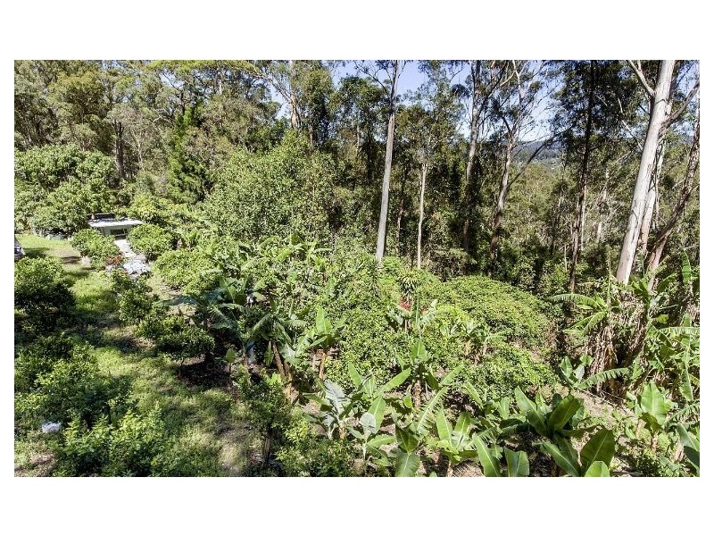 11 Drumalbyn Close, Wyoming NSW 2250