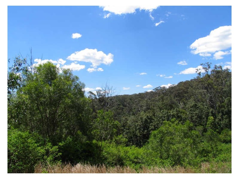 Lot 153 The Ridgeway, Lisarow NSW 2250