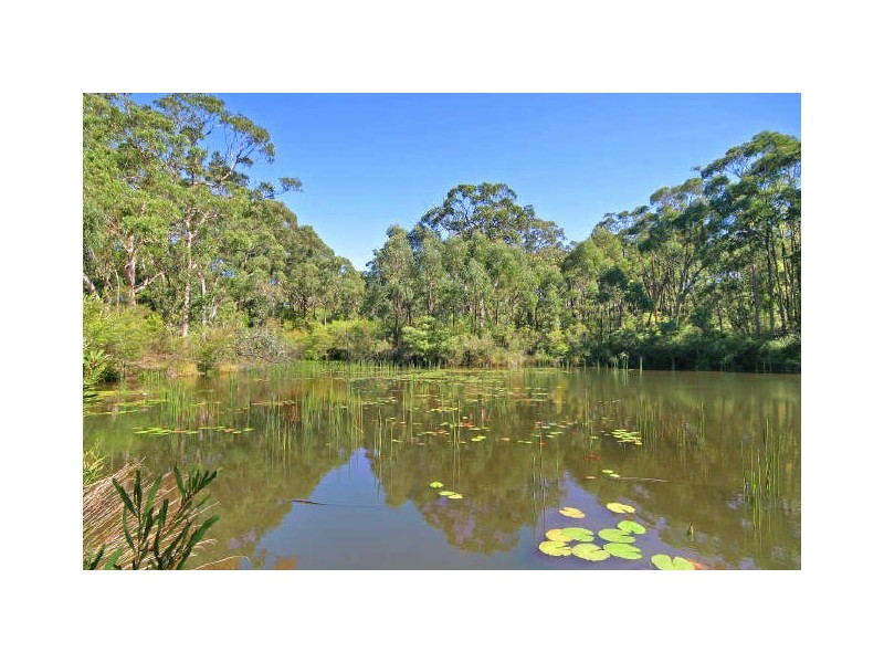 Mangrove Mountain NSW 2250