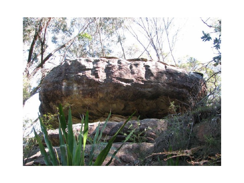 Mangrove Mountain NSW 2250
