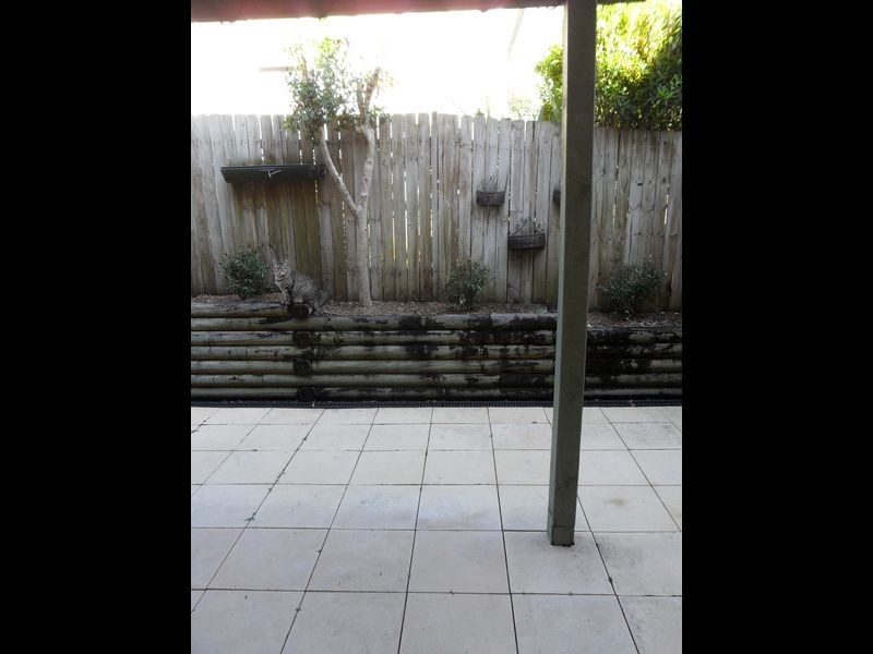 2/12 Duke Street, Point Frederick NSW 2250