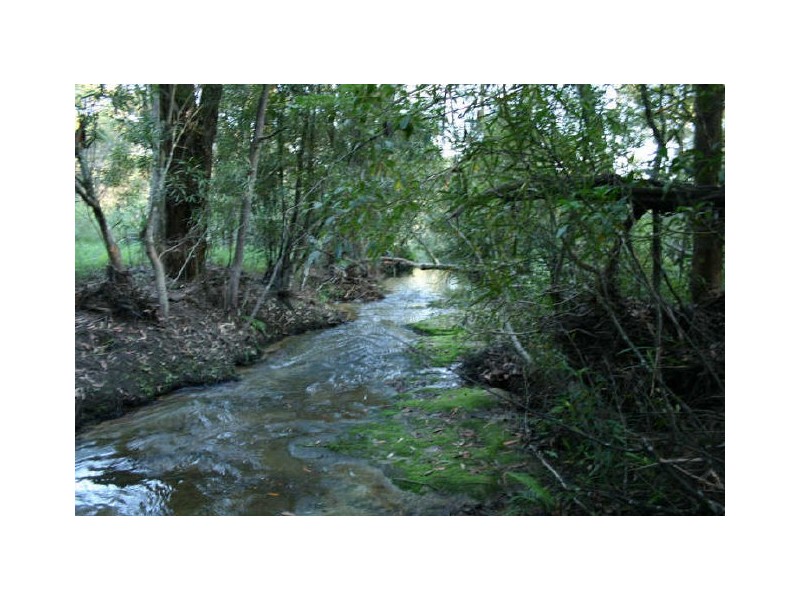 Mangrove Mountain NSW 2250