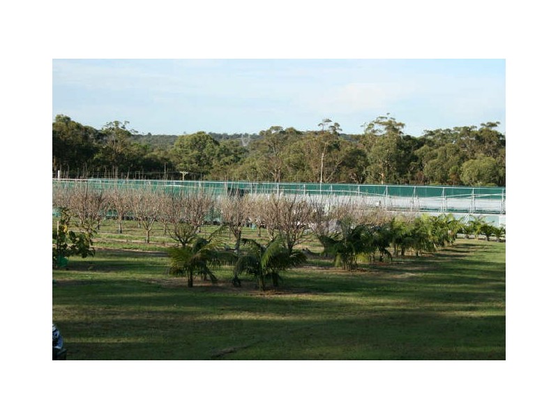 Mangrove Mountain NSW 2250