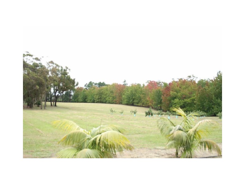 Mangrove Mountain NSW 2250