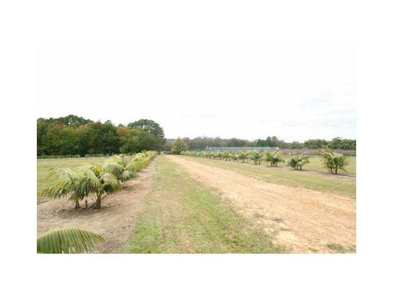 Mangrove Mountain NSW 2250