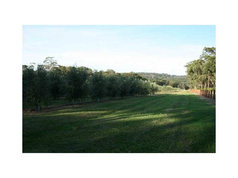 Mangrove Mountain NSW 2250