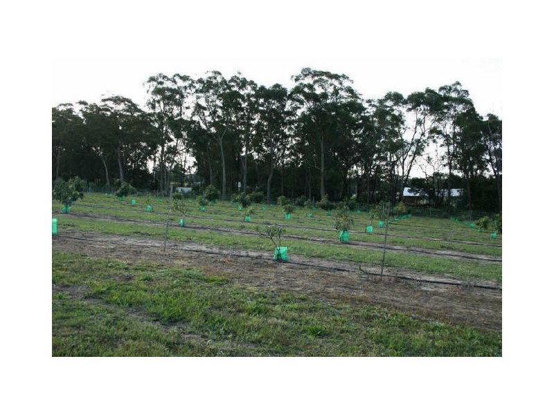 Mangrove Mountain NSW 2250