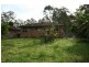 Springfield NSW 2250