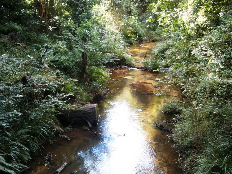 WOODSTOCK Lyrebird Lane, Palm Grove NSW 2258