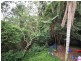 Niagara Park NSW 2250
