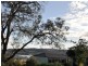 Gosford NSW 2250