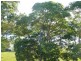 Point Frederick NSW 2250