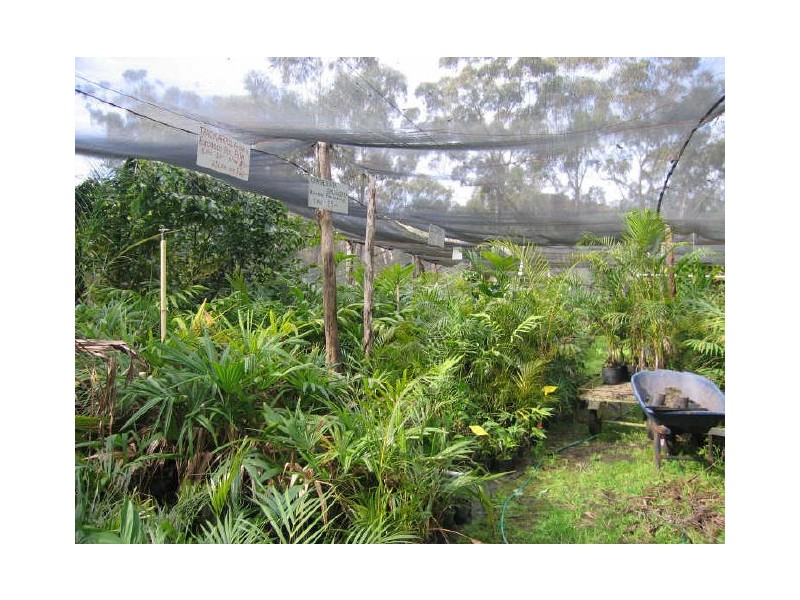 108 Grays Road, Halfway Creek NSW 2460