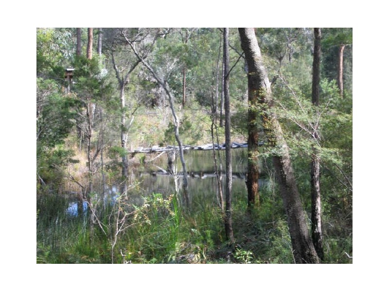 108 Grays Road, Halfway Creek NSW 2460