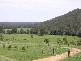 38 Cattle Creek Road, Ramornie NSW 2460