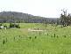 38 Cattle Creek Road, Ramornie NSW 2460
