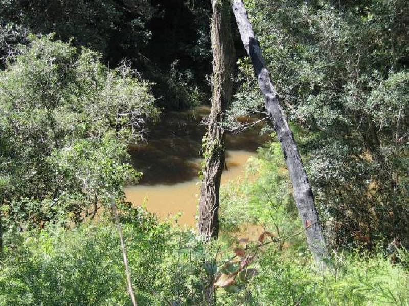 16 Taylors Lane, The Whiteman NSW 2460