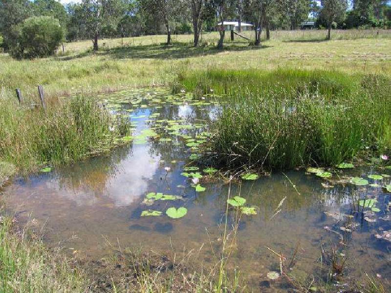 16 Taylors Lane, The Whiteman NSW 2460