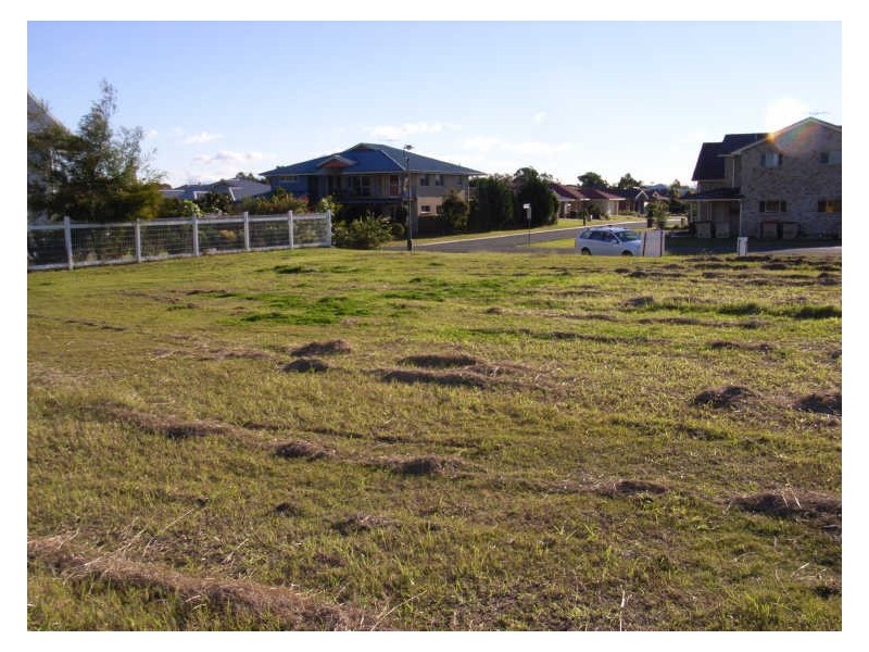 94 Breimba Street, Grafton NSW 2460