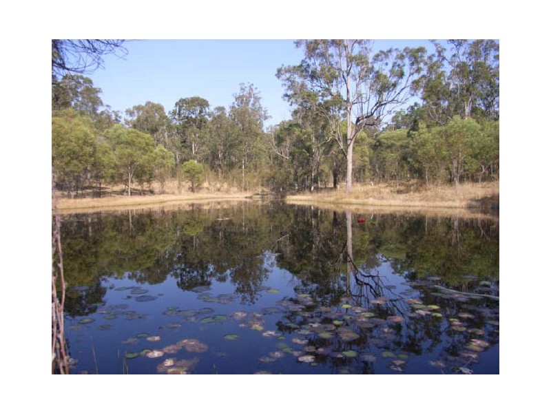 1773 Armidale Road, Coutts Crossing NSW 2460