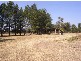 1773 Armidale Road, Coutts Crossing NSW 2460