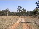 1773 Armidale Road, Coutts Crossing NSW 2460