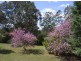 100 Mulligan Drive, Waterview Heights NSW 2460