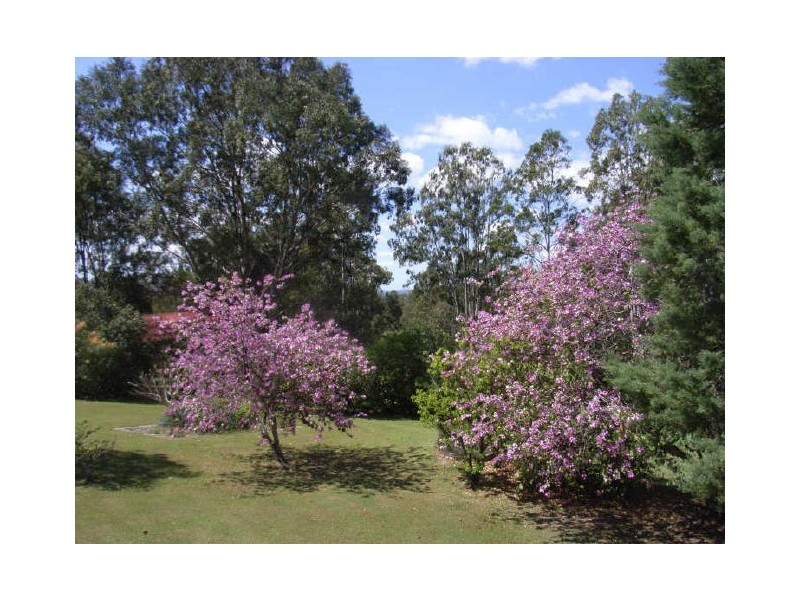 100 Mulligan Drive, Waterview Heights NSW 2460