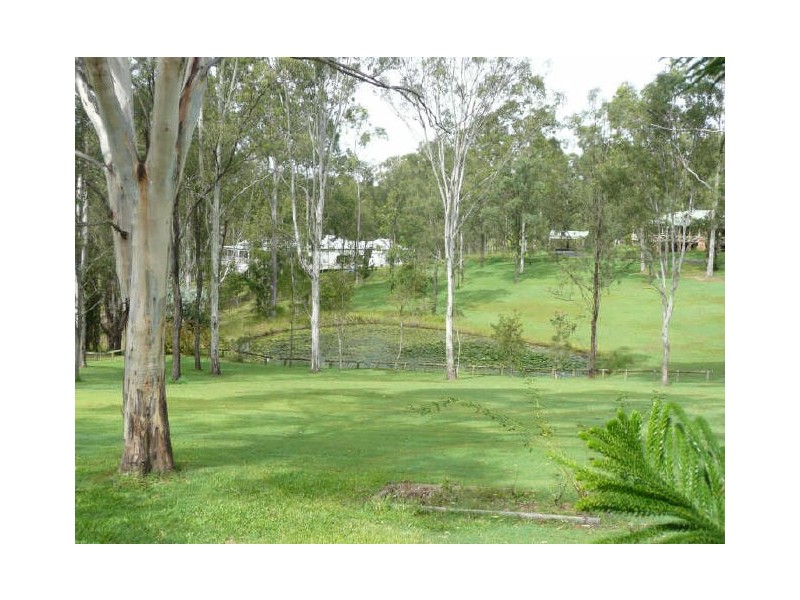 100 Mulligan Drive, Waterview Heights NSW 2460