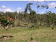 122 Four Mile Lane, South Grafton NSW 2460