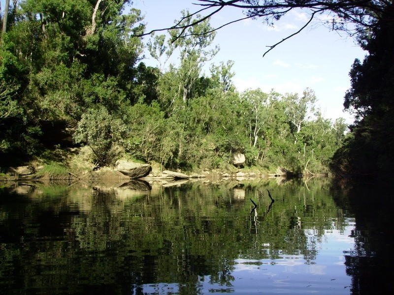 237 Blackbutt Road, Grafton NSW 2460