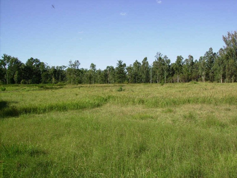 237 Blackbutt Road, Grafton NSW 2460