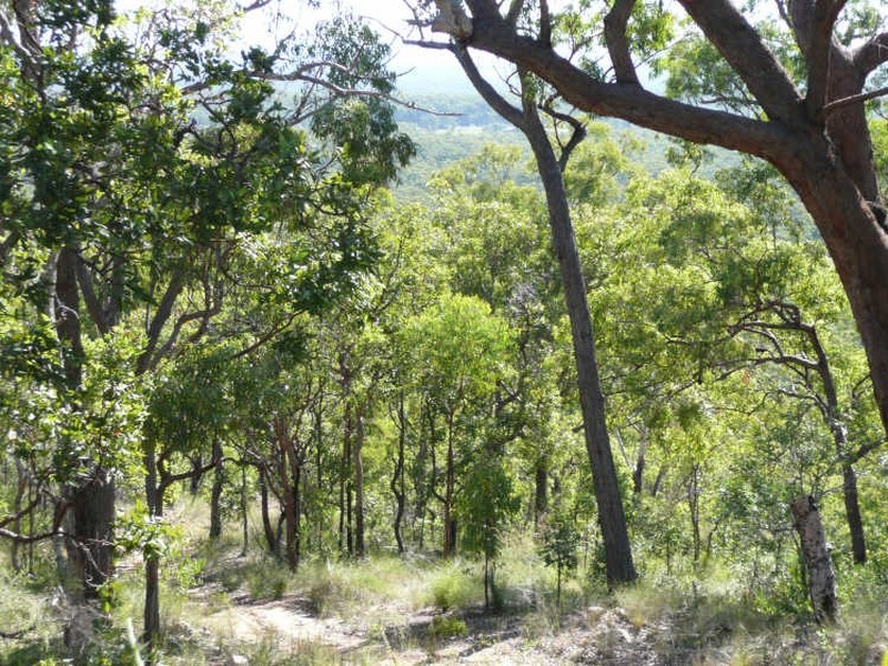 100 Mahogany Drive, Grafton NSW 2460