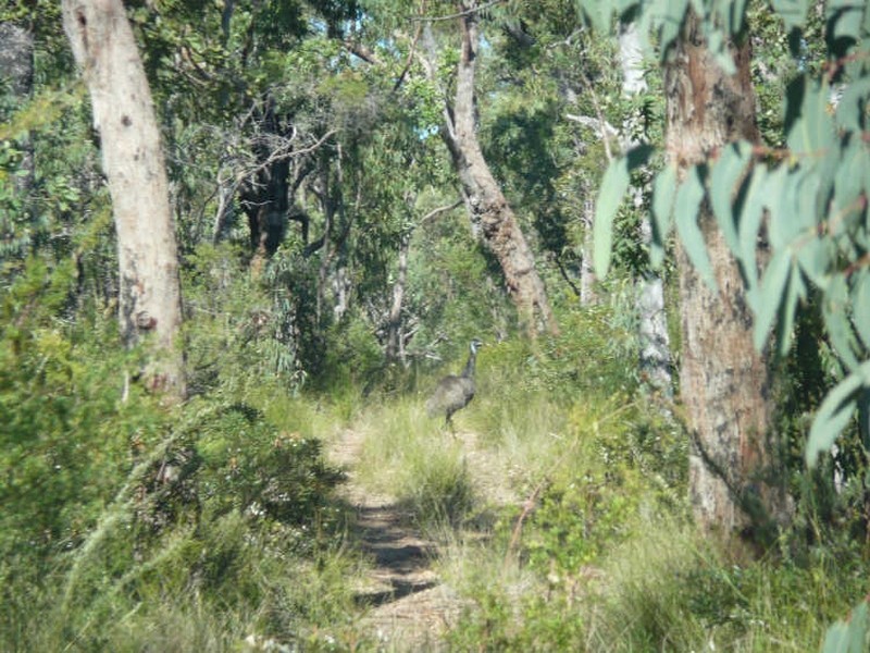 100 Mahogany Drive, Grafton NSW 2460