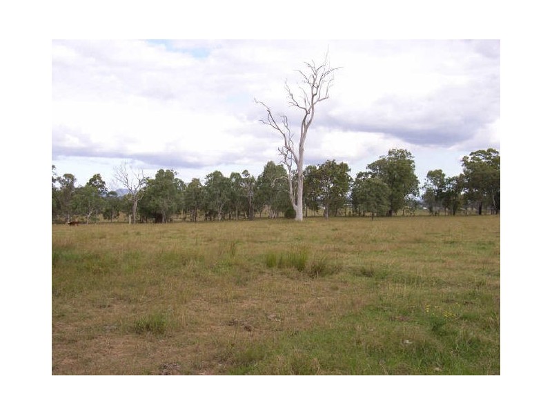 “Gum Ridge”, Lower Southgate NSW 2460