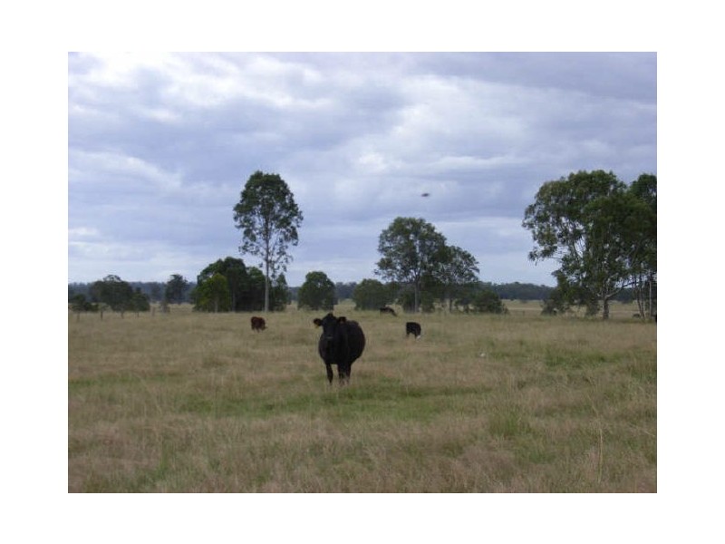 “Gum Ridge”, Lower Southgate NSW 2460