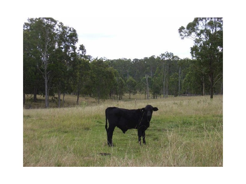 “Gum Ridge”, Lower Southgate NSW 2460
