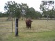 “Gum Ridge”, Lower Southgate NSW 2460