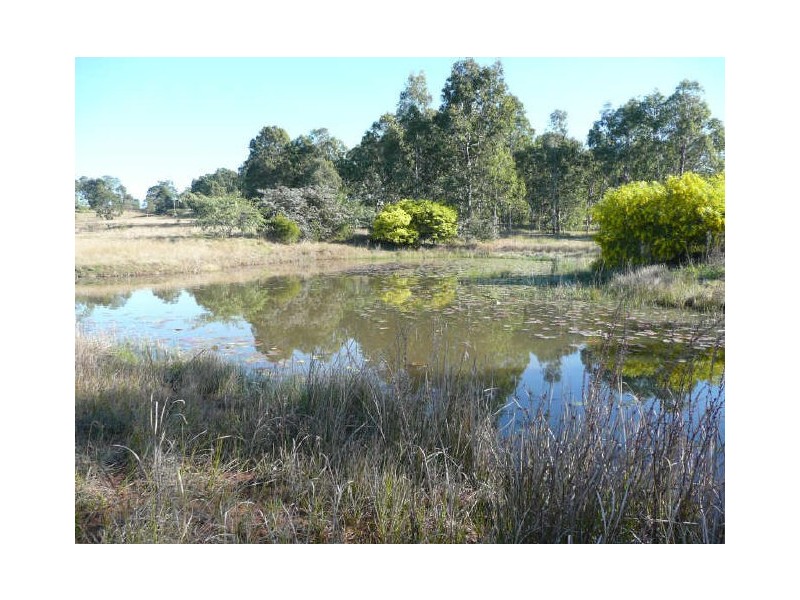 379 Old Lillypool Road, South Grafton NSW 2460